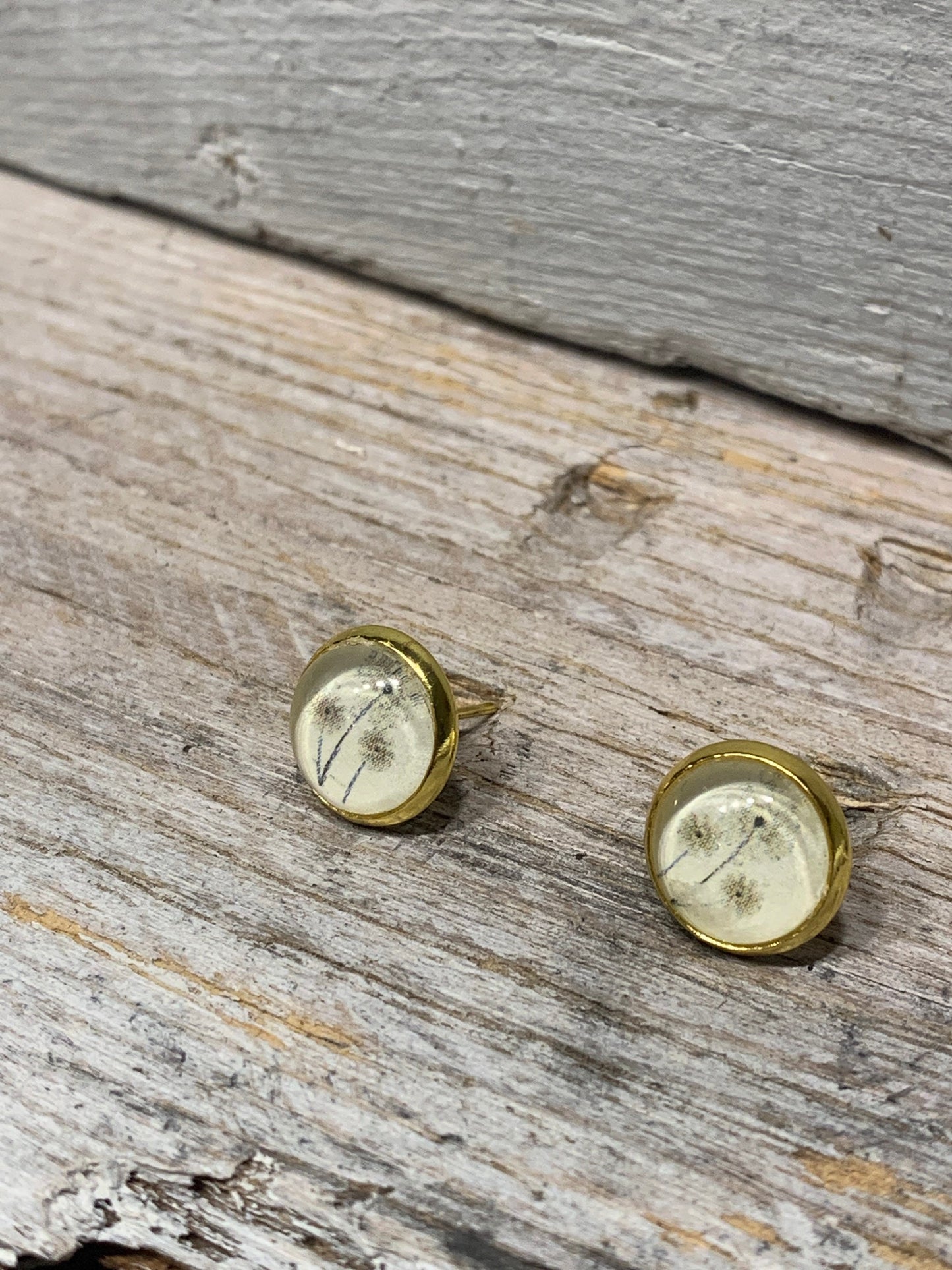 Zarte Ohrstecker mit Pusteblume Motiv – Natürlicher Look in Gold