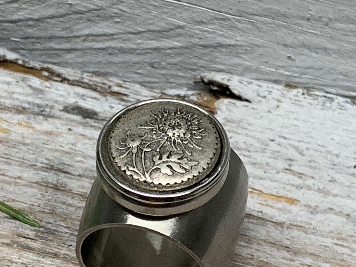 Breiter Edelstahlring Gr. 17 mit Löwenzahn Pusteblume – Eleganter Wechselschmuck
